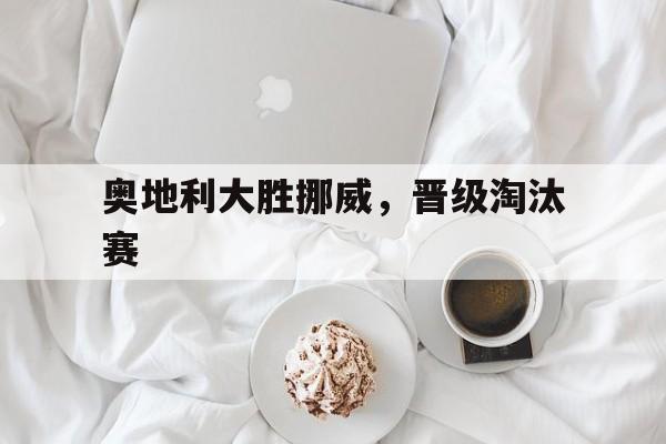 db真人官网-奥地利大胜挪威，晋级淘汰赛